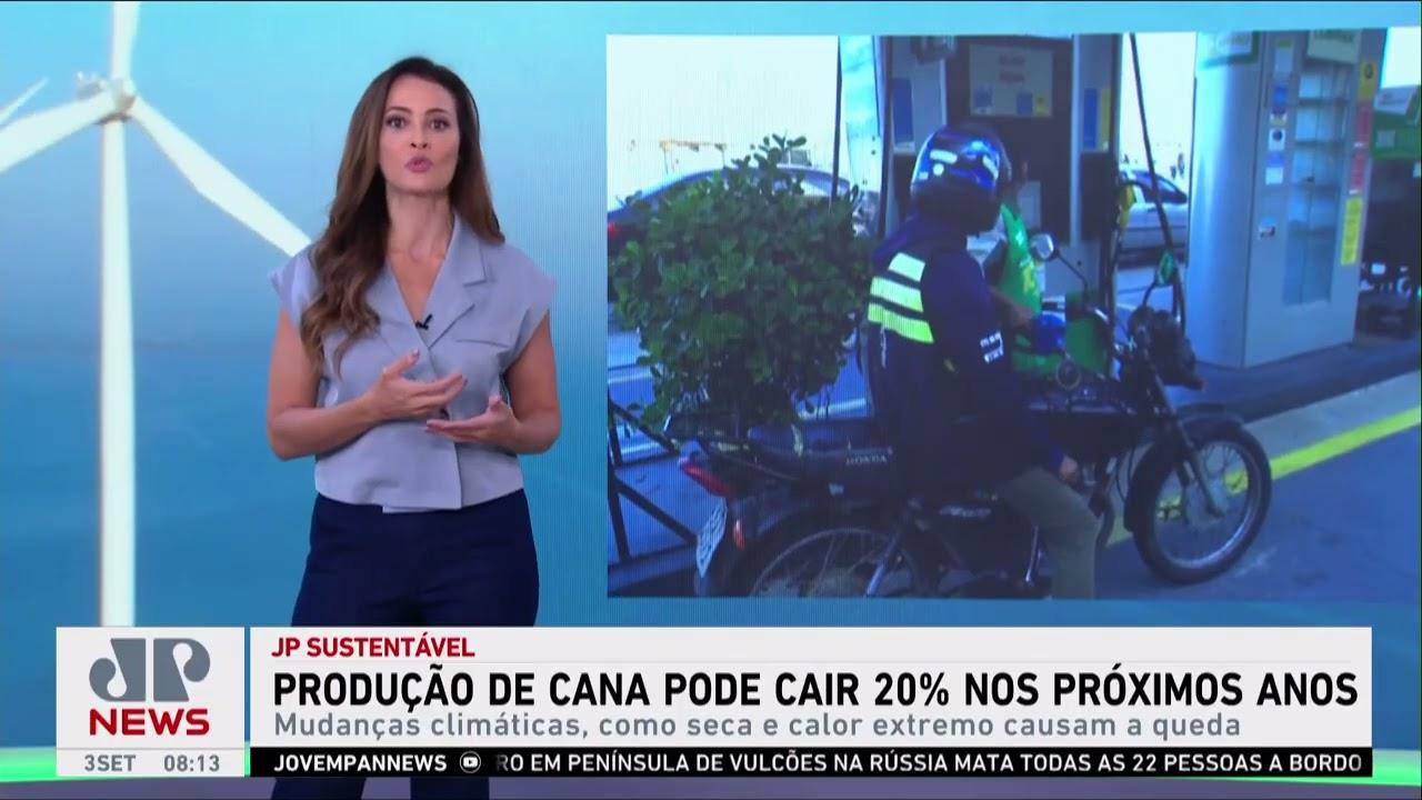 Produção de cana-de-açúcar pode cair 20% nos próximos anos; Patrícia Costa comenta