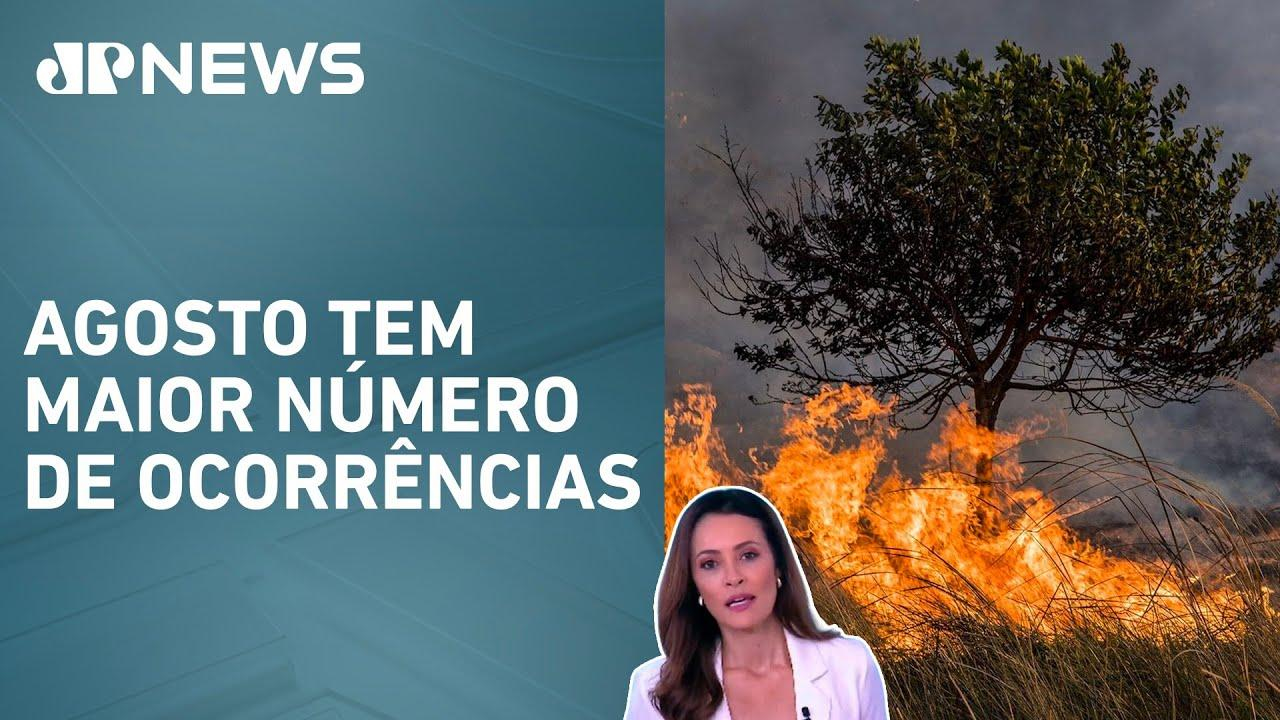 Decretos de emergência por incêndios aumentam 193% em 2024; Patrícia Costa analisa