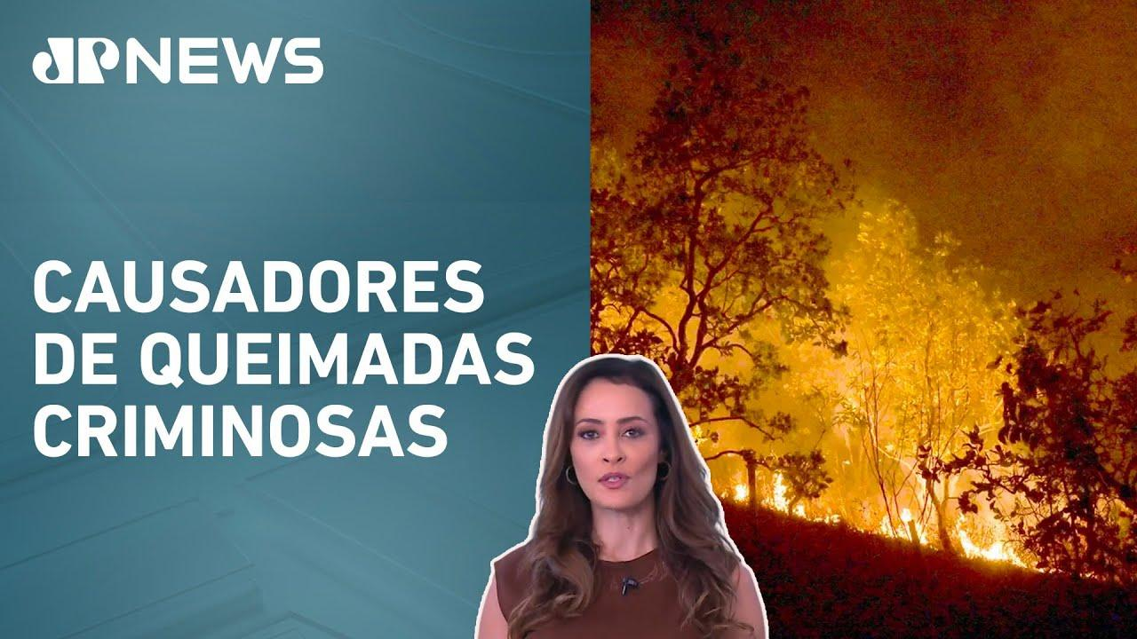 Mais de 20 pessoas são investigadas por incêndios no Rio de Janeiro; Patrícia Costa analisa