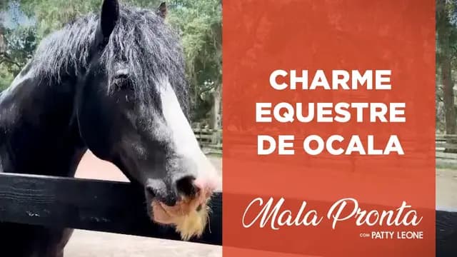 Patty Leone mostra detalhes da “Capital Mundial dos Cavalos” nos EUA | MALA PRONTA