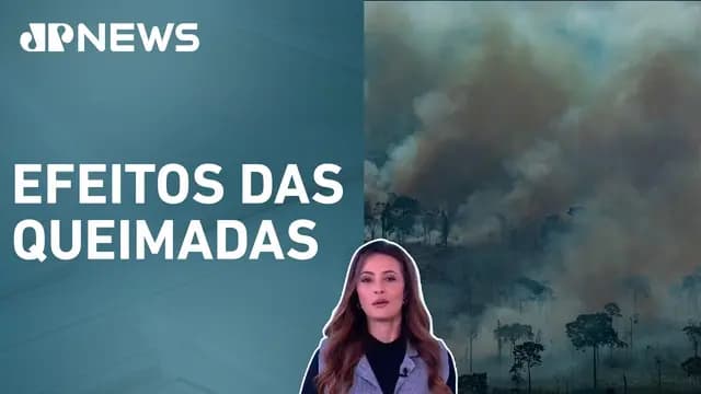 Qualidade do ar é considerada insalubre em oito estados brasileiros; Patrícia Costa analisa