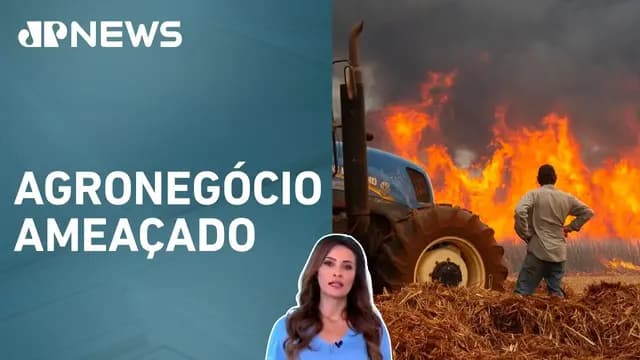 Brasil registra mais de 100 mil focos de incêndio em 2023; Patrícia Costa analisa