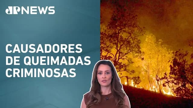 Mais de 20 pessoas são investigadas por incêndios no Rio de Janeiro; Patrícia Costa analisa