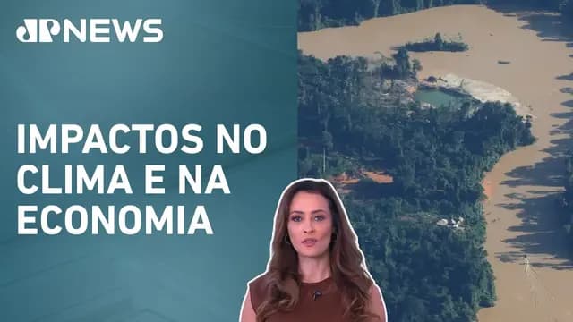 Emissão de CO2 na Amazônia aumenta 60% em um ano; Patrícia Costa analisa